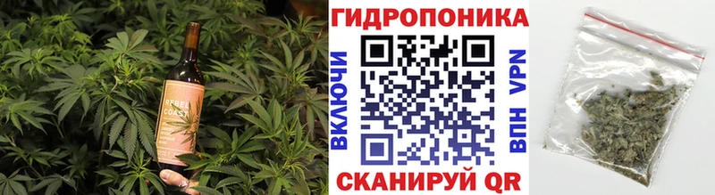 Cannafood конопля  Сковородино 