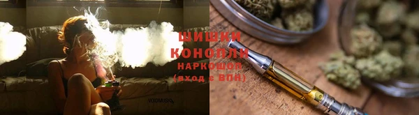 ГАЛЛЮЦИНОГЕННЫЕ ГРИБЫ Инта