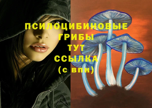 mdma Зерноград