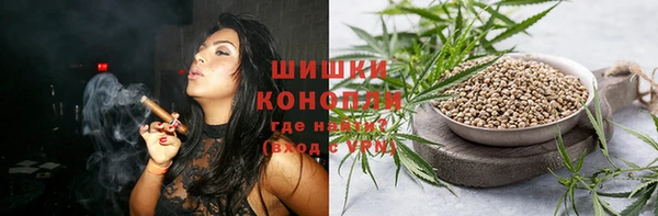МДПВ Нея