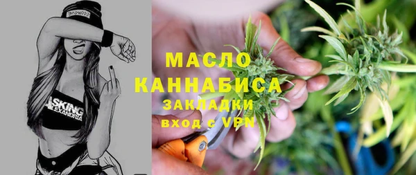 ГАЛЛЮЦИНОГЕННЫЕ ГРИБЫ Инта