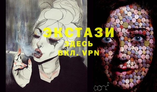 ГАЛЛЮЦИНОГЕННЫЕ ГРИБЫ Инта